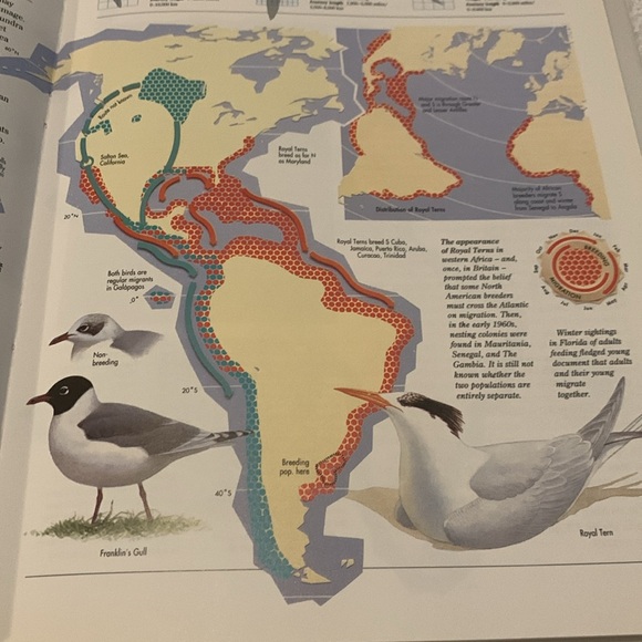 Atlas Of Bird Migration book - Picture 6 of 6